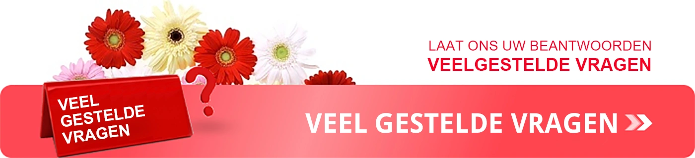 Veelgestelde vragen