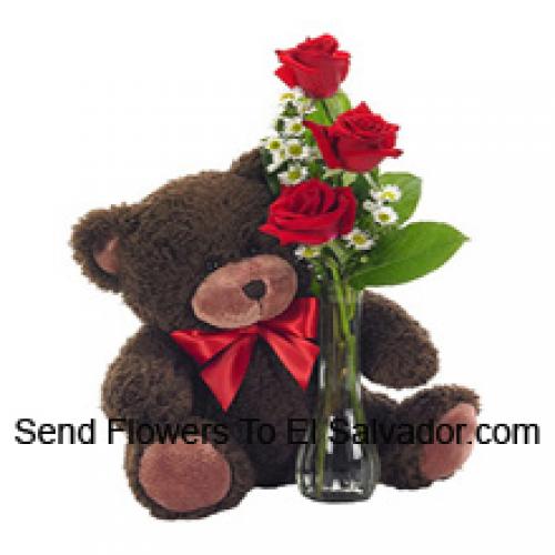 3 Roses Rouges avec un beau ours en peluche de 14 pouces