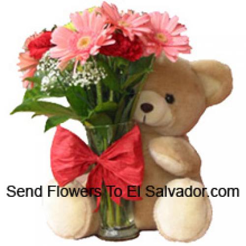 12 Claveles Rojos y Gerberas Rosas con Peluche