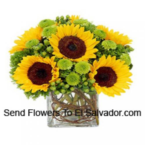 Jolis tournesols en vase