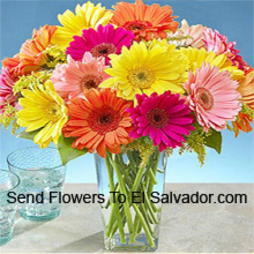 24 Frumoase Gerberas Mixte