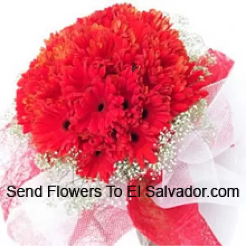 A Beautiful Bunch Of 36 Red Gerberas With Seasonal Fillers