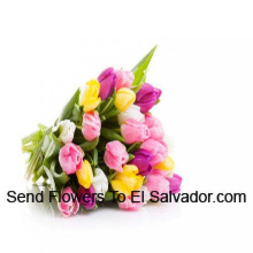 Hermosos Tulipanes Mixtos