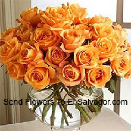 24 Jolies Roses Orange