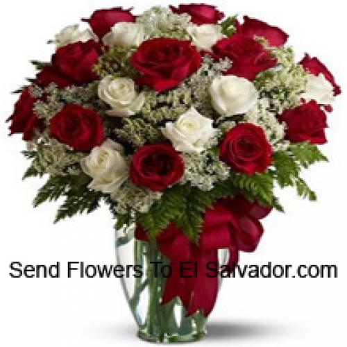 24 Red and White Roses