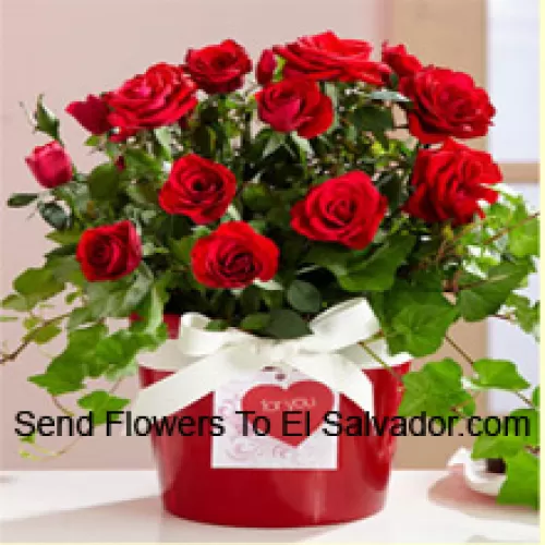 A Beautiful Arrangement Of 18 Red Roses With Seasonal Fillers