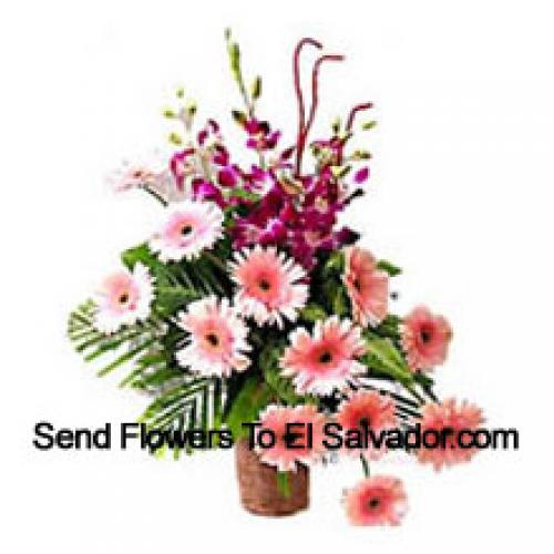 Sensationelle Gerberas mit Orchideen