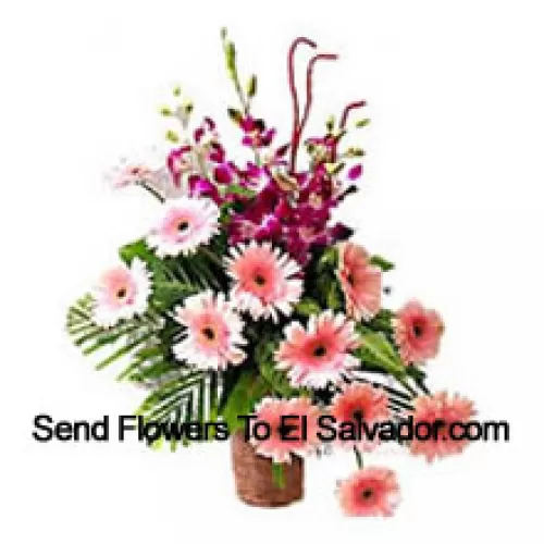 Basket Of Orchids And Gerberas