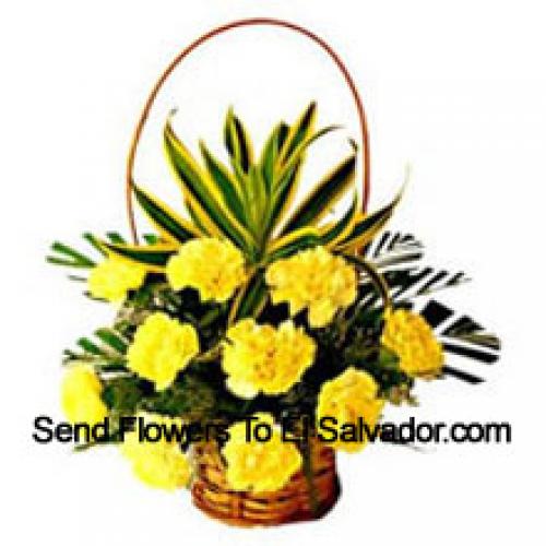 12 Elegant Yellow Carnations