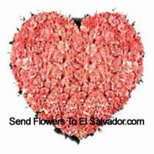 100 Pink Heart Carnations