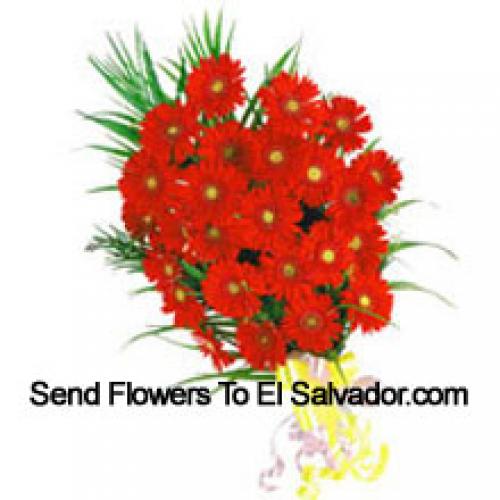 24 Exotic Red Gerberas