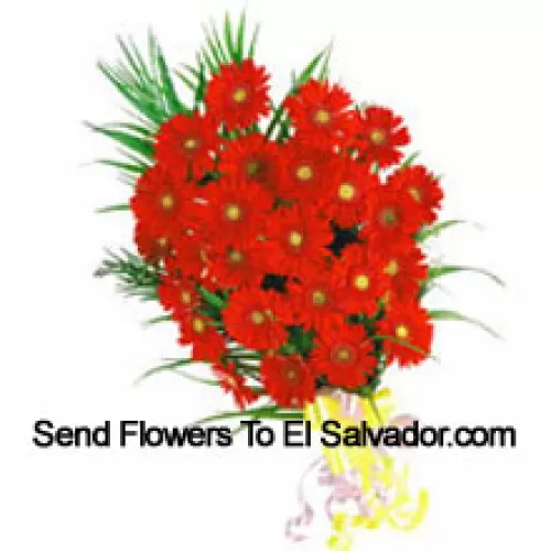 Bouquet de 24 Gerberas rouges