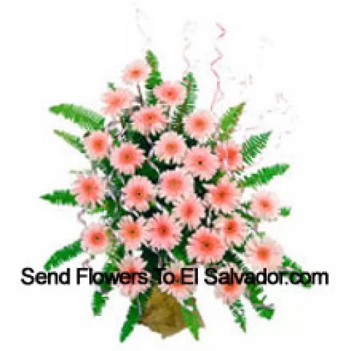 Basket Of 24 Pink Colored Gerberas