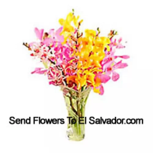 Mixed Colored Orchids In A Vase