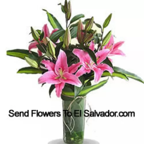 Pink Colored Lilies In A Vase