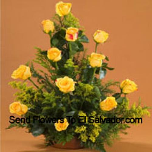 12 Charming Yellow Roses