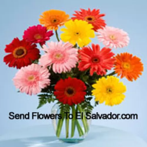 12 Mixed Colored Gerberas In A Vase