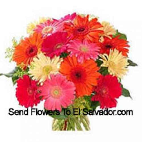 15 Assorted Gerberas