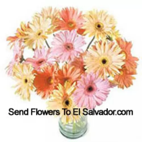 24 Mixed Colored Gerberas In A Vase