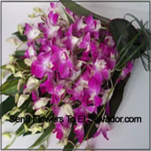 Bunch Of Orchids With Seasonal Fillers