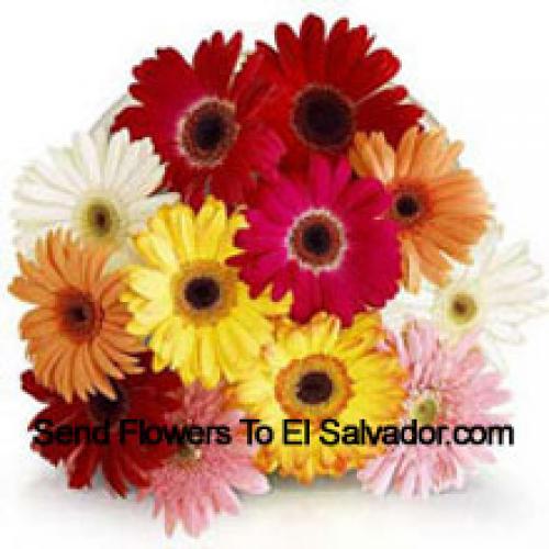 12 Gerberas Variadas con Rellenos