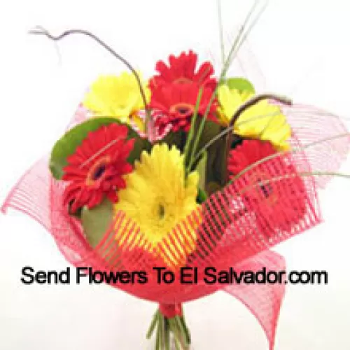 Bunch Of 12 Mixed Colored Gerberas