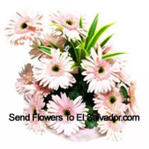 Basket Of 15 Pink Colored Gerberas