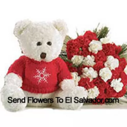 Bunch Of 24 Red And White Carnations With A Medium Sized Cute Teddy Bear