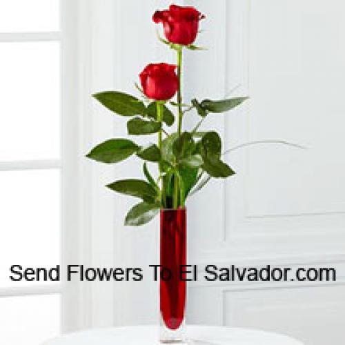 2 Douces Roses Rouges en Vase